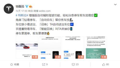 爆料博主视频网站下载,博主爆料背后的操作与技巧  第2张